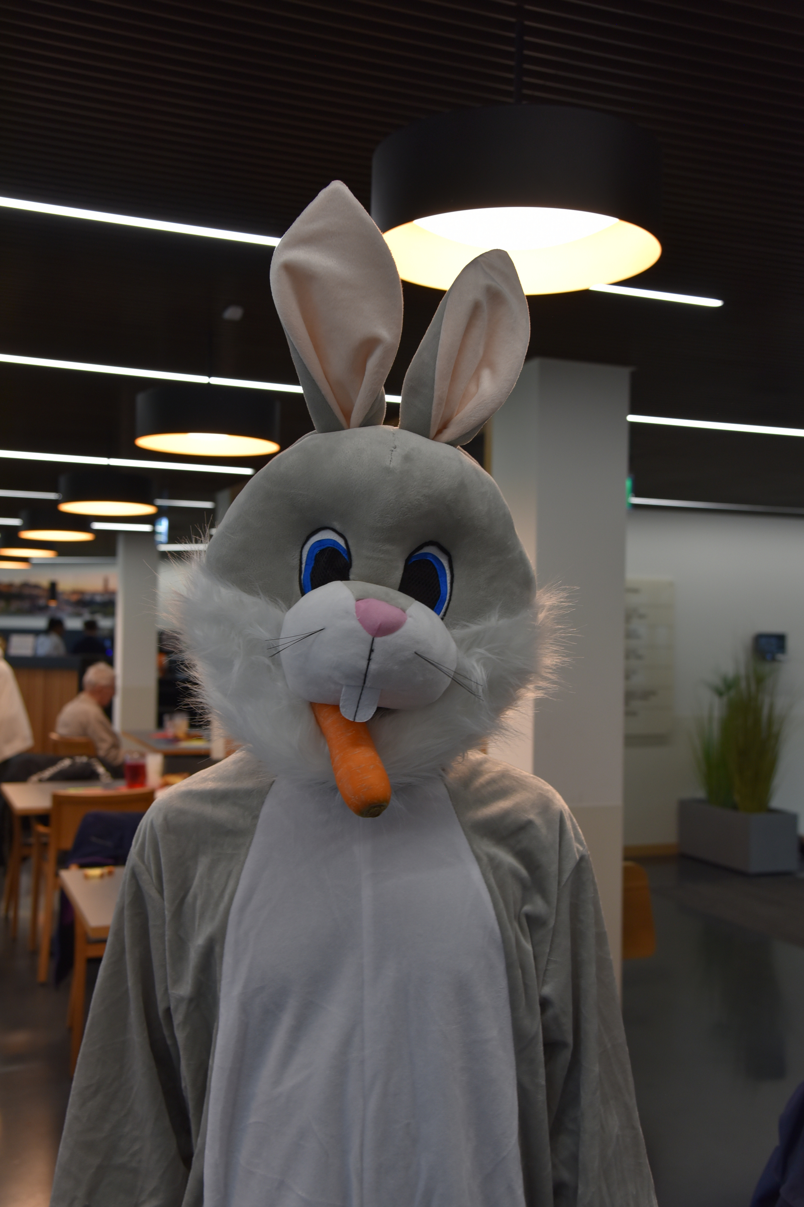 DSC_6854.JPG