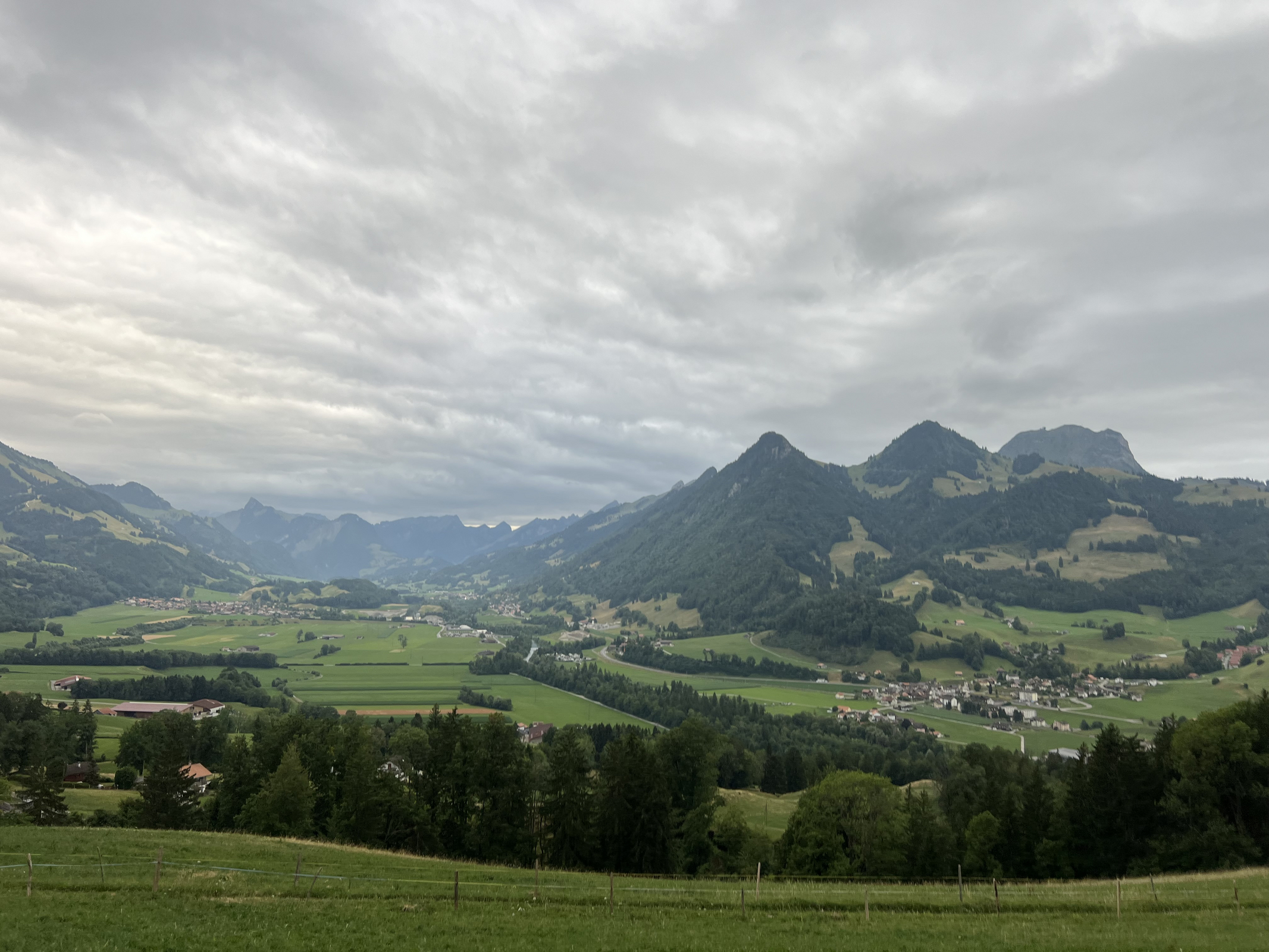 IMG_6017.jpg
