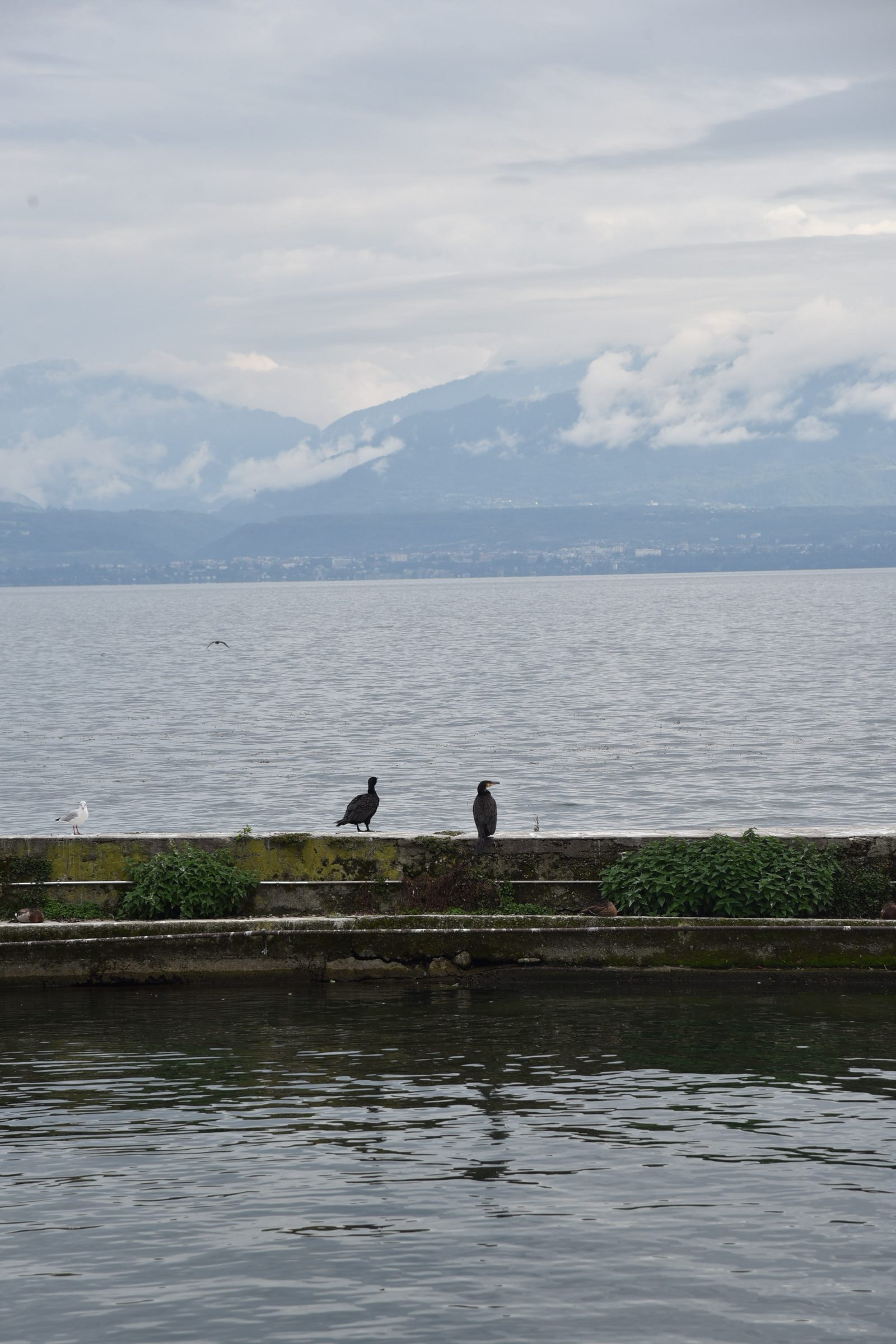 DSC_8566.JPG