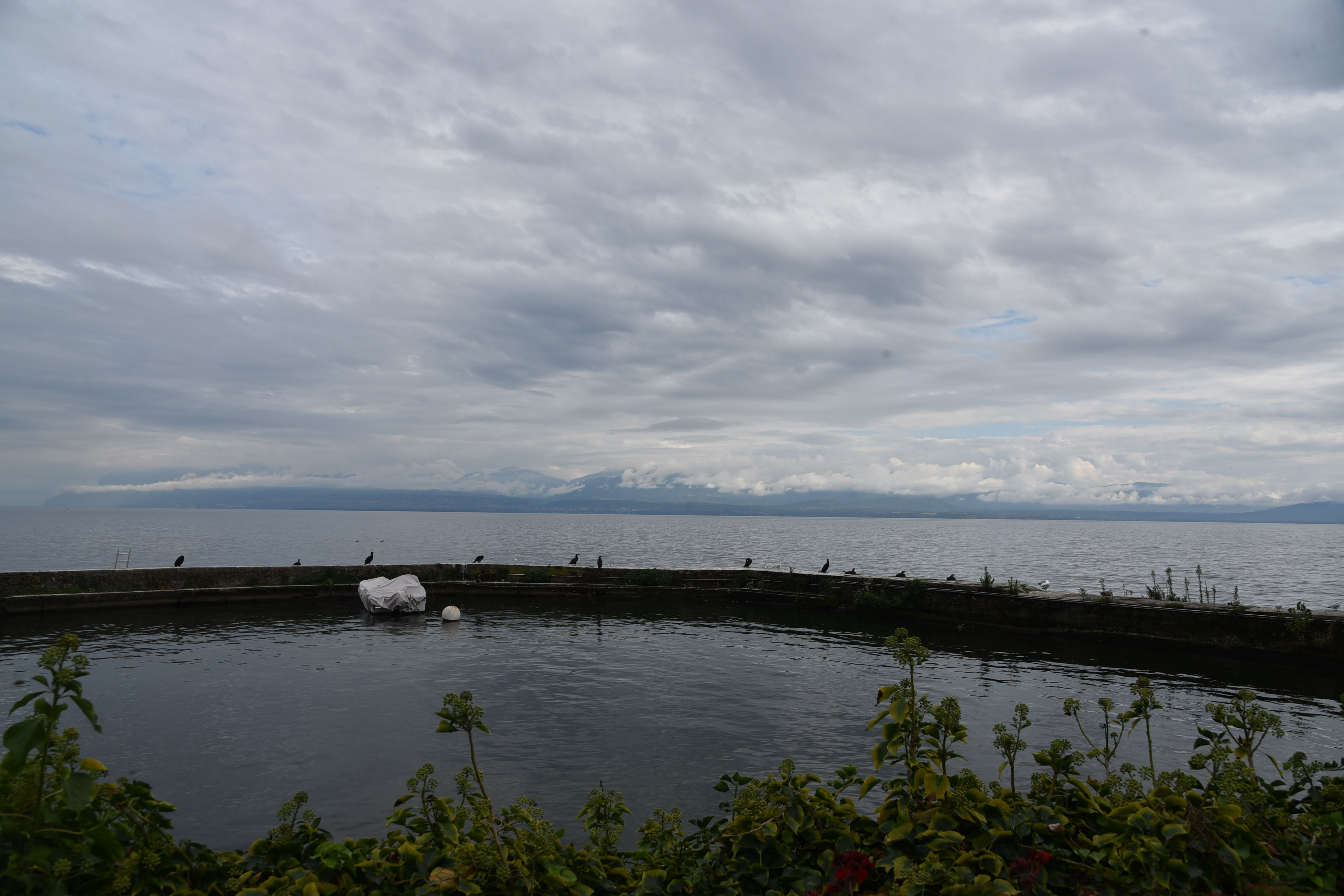 DSC_8567.JPG