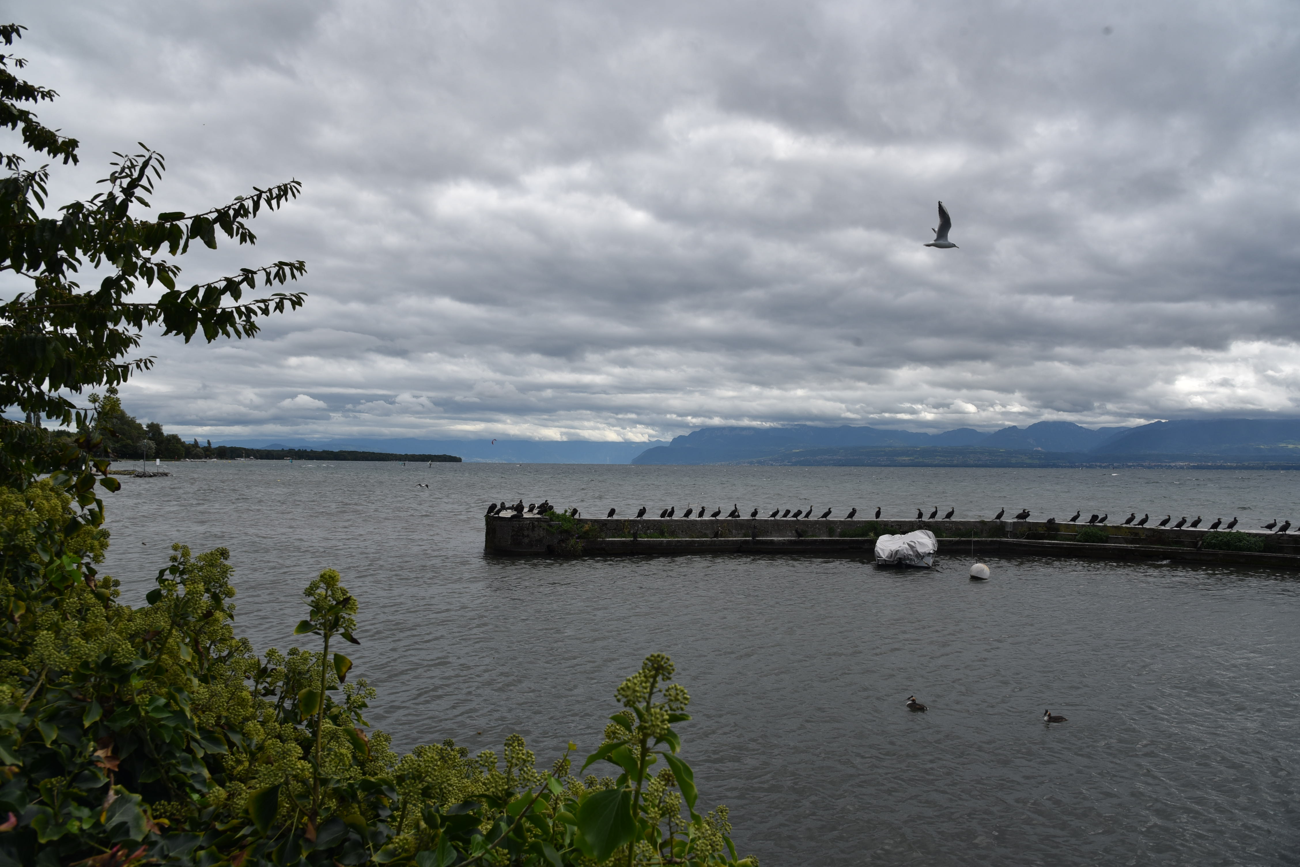 DSC_8730.JPG