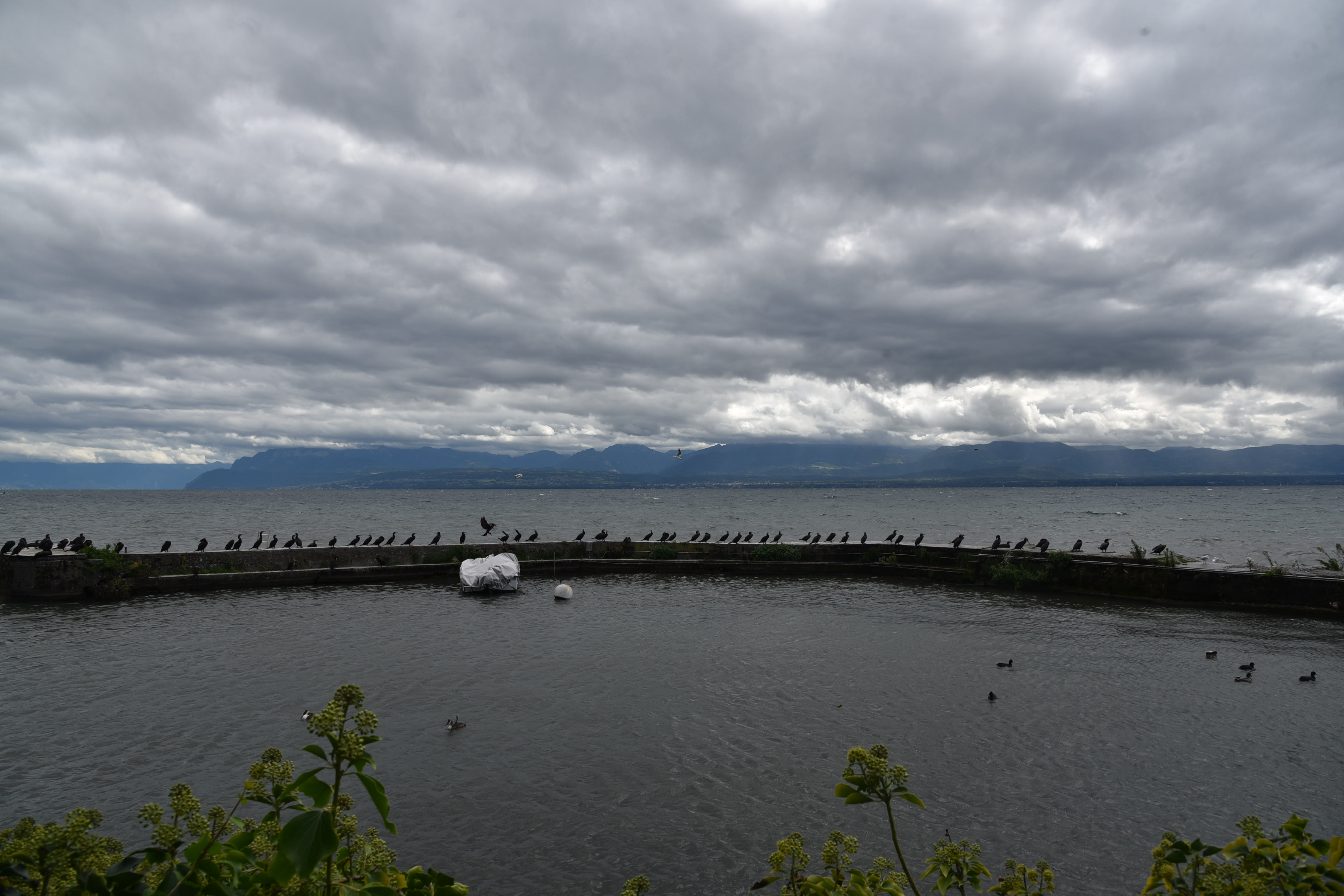 DSC_8731.JPG