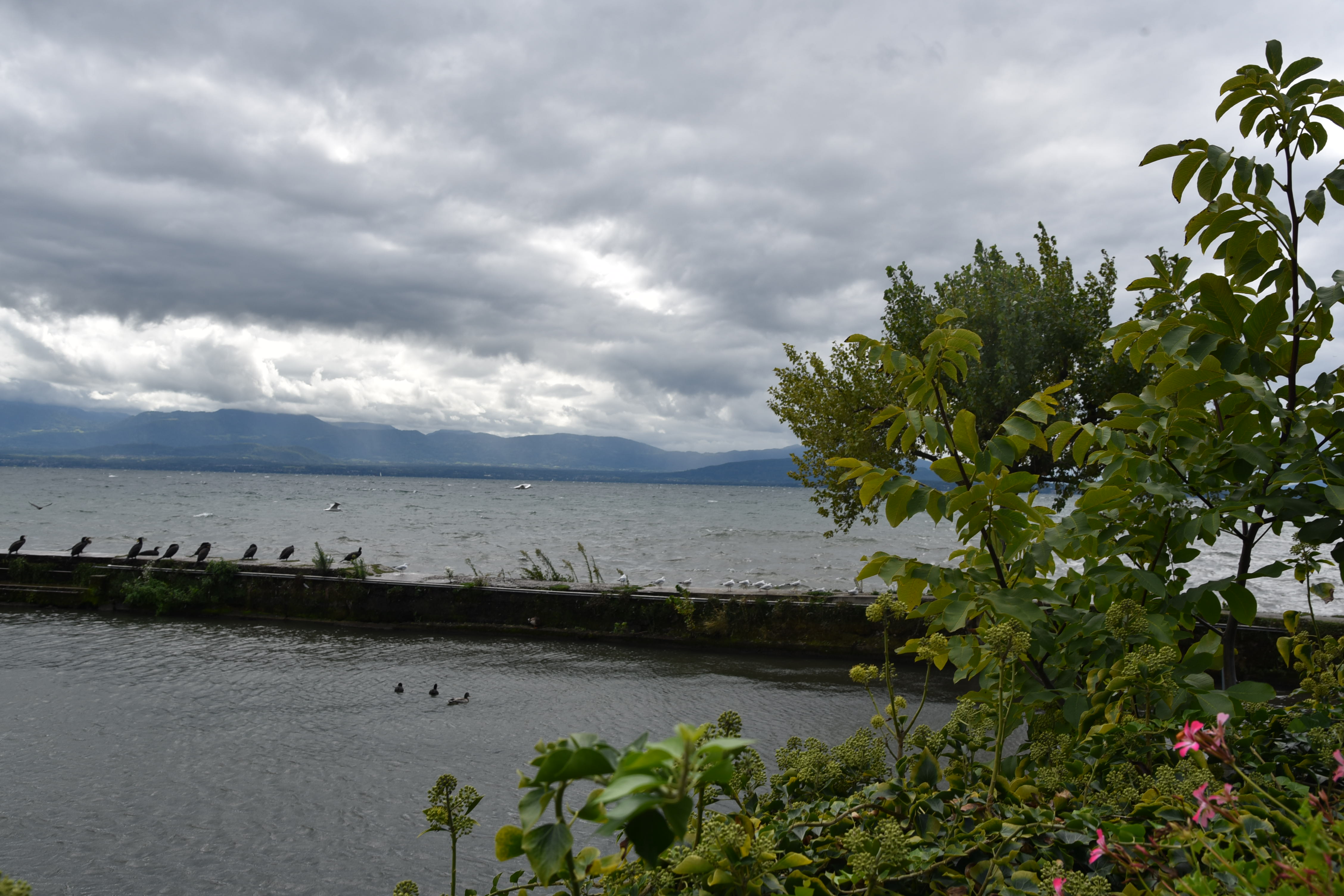 DSC_8732.JPG