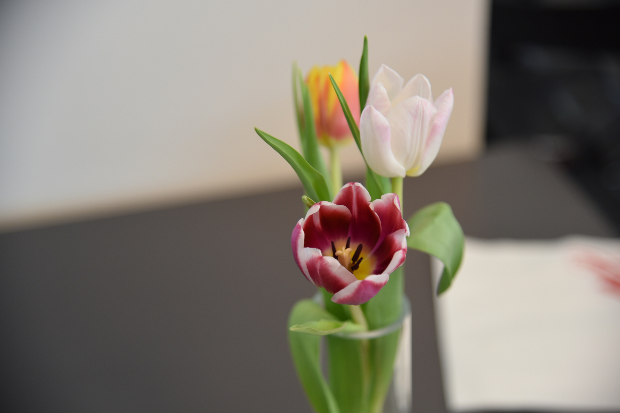 DSC_0568.JPG
