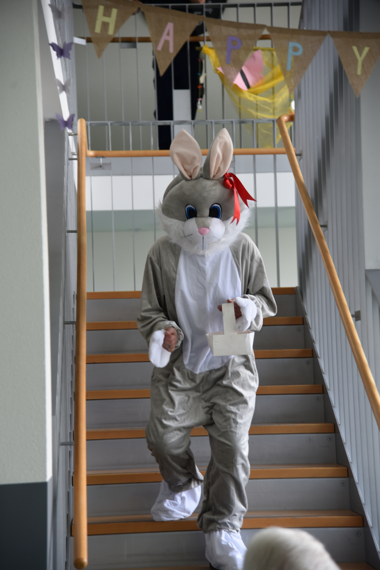 DSC_0601.JPG