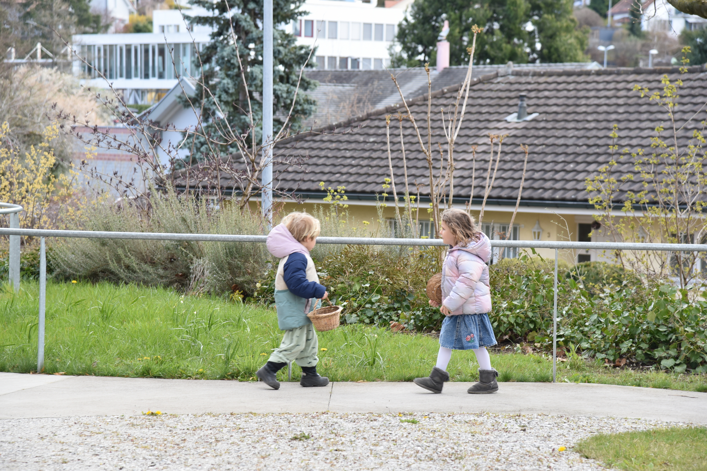 DSC_0768.JPG