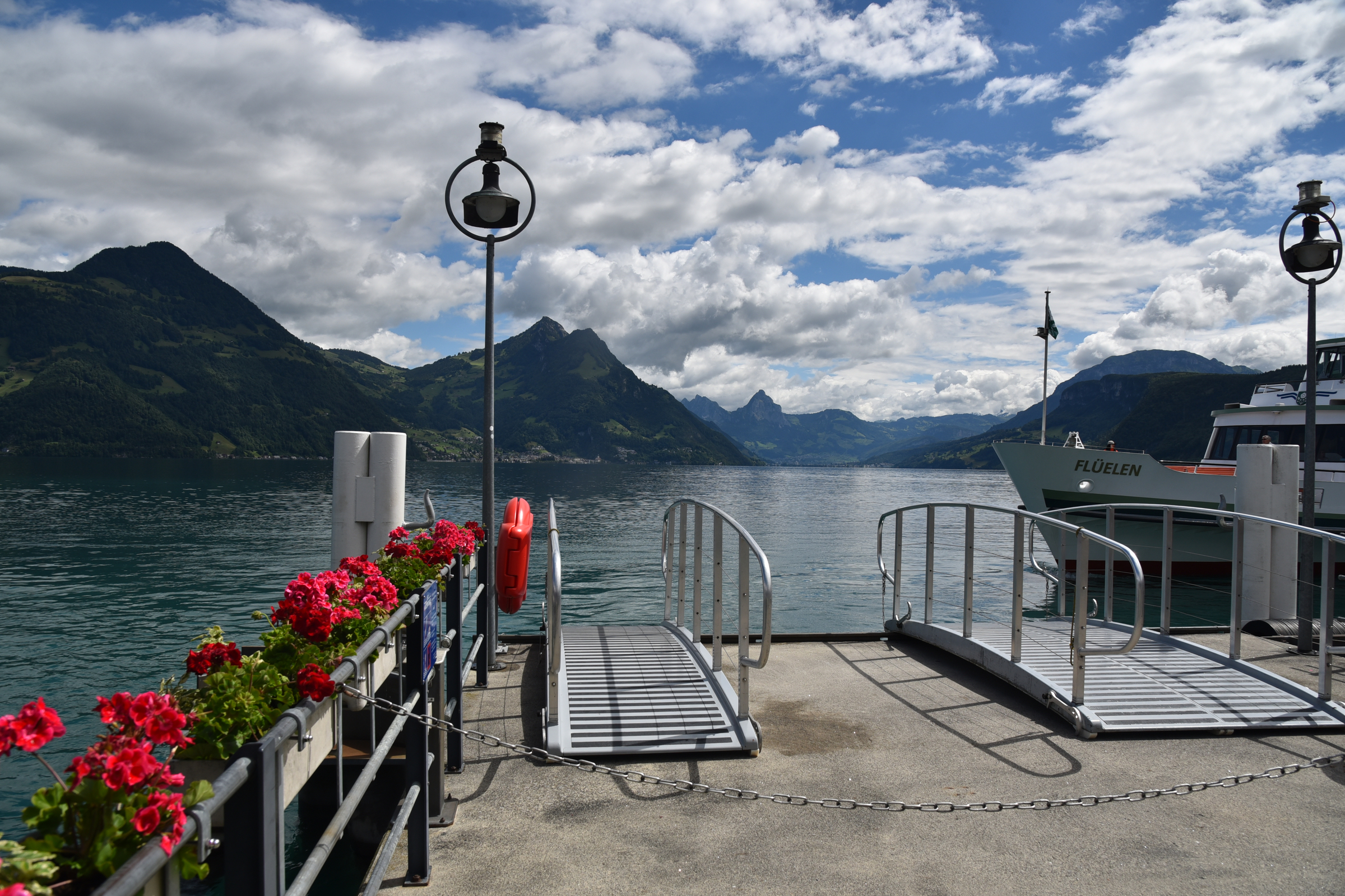 DSC_1100.JPG